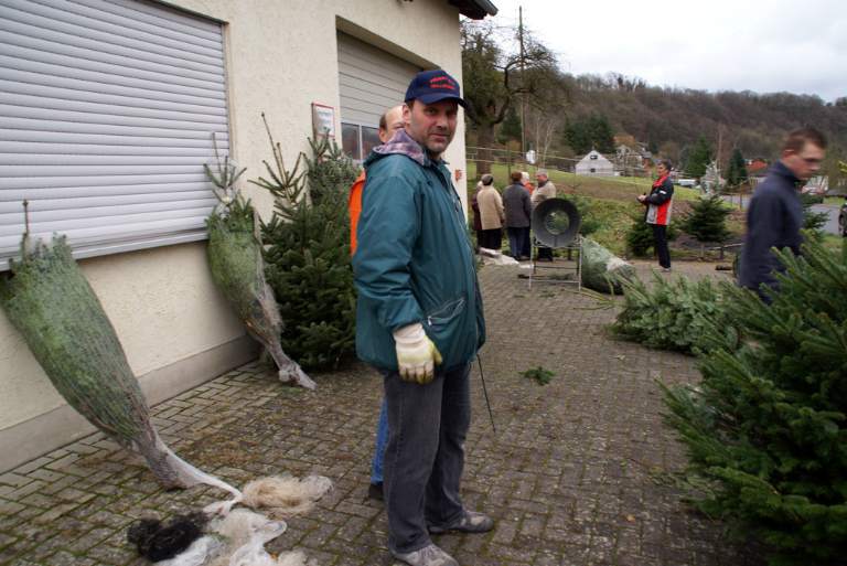 Weihnachtsbaumverkauf 2008 Bild Nr.015